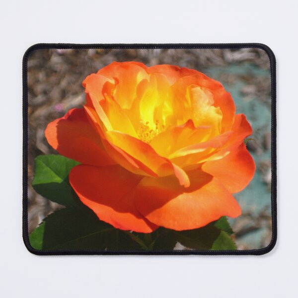 Item preview, Sumptuous Judy Garland Rose Performing in Vibrant Orange and Yellow designed and sold by JoyousArt4u.