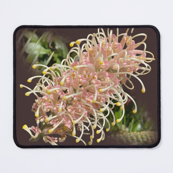Item preview, Grevillea designed and sold by indiafrankk.