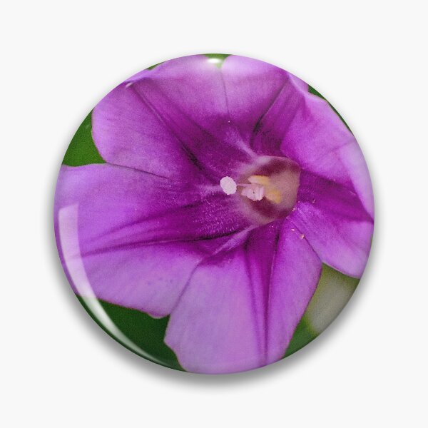 Item preview, Purple Morning Glory Flower designed and sold by MercerImages.
