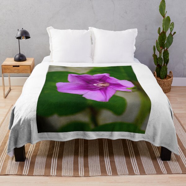 Item preview, Purple Morning Glory Flower designed and sold by MercerImages.