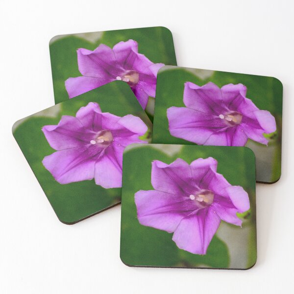 Item preview, Purple Morning Glory Flower designed and sold by MercerImages.