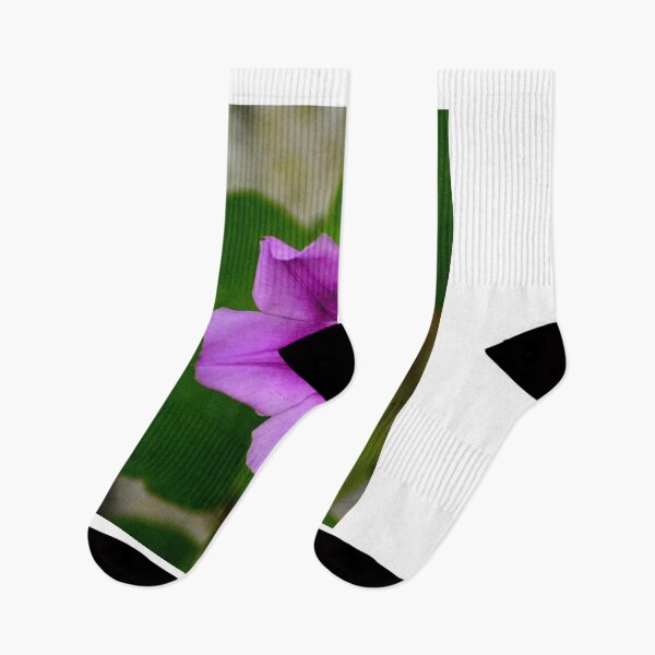 Item preview, Purple Morning Glory Flower designed and sold by MercerImages.
