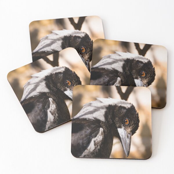 Item preview, Sunny Australian Magpie on the Deck designed and sold by Tara Smithson.