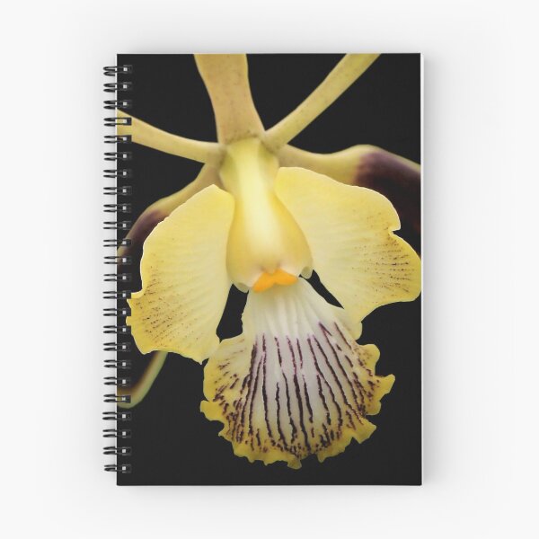 Item preview, The Moose is Loose - Orchid Alien Discovery designed and sold by Ashley Cooke.