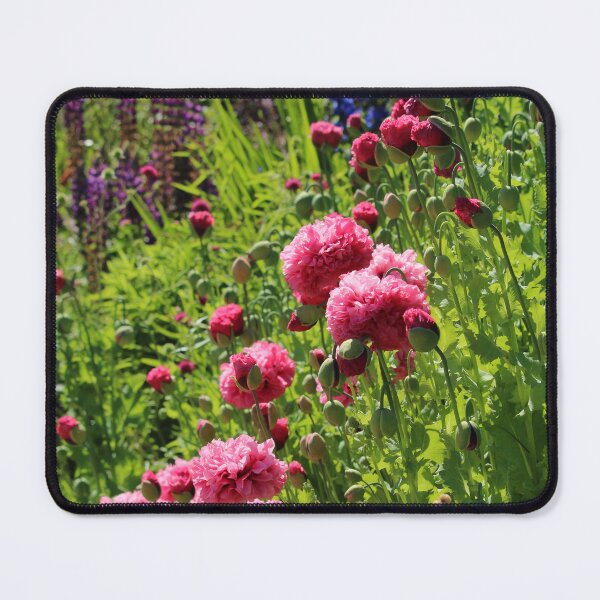 Item preview, Garden Colour Oakfield Park Donegal designed and sold by eddiebarronshop.