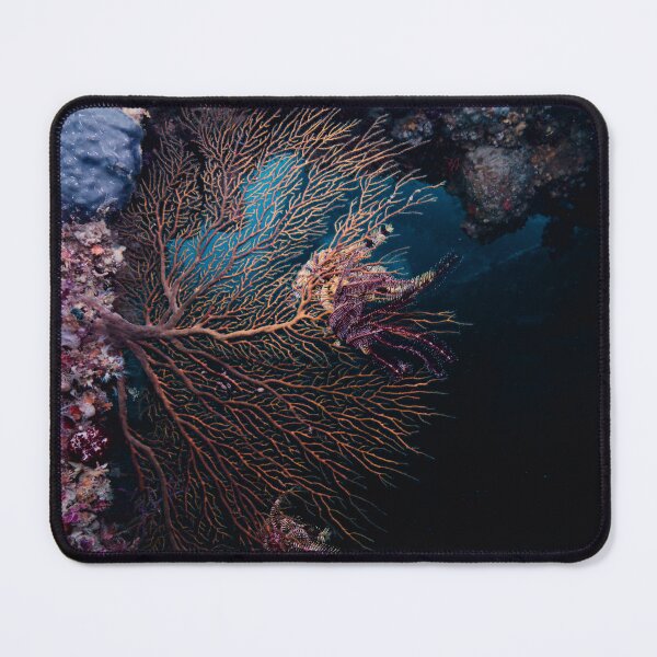 Item preview, seafan designed and sold by tank200bar.