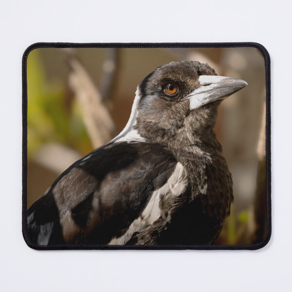 Item preview, Australian magpie on the deck 2 designed and sold by Tara Smithson.