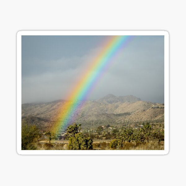 Item preview, Rainbow Beaming Down on a Joshua Tree in Yucca Valley, California designed and sold by Scenic West - Photos by Angel.