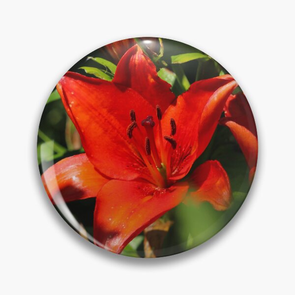 Item preview, The Red Flower Donegal designed and sold by eddiebarronshop.