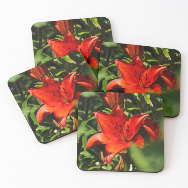 Item preview, The Red Flower Donegal designed and sold by eddiebarronshop.