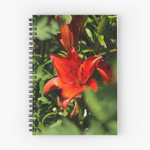 Item preview, The Red Flower Donegal designed and sold by eddiebarronshop.