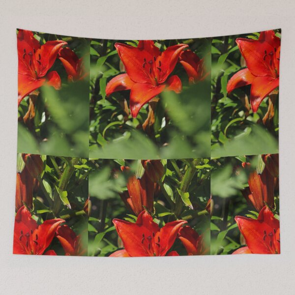 Item preview, The Red Flower Donegal designed and sold by eddiebarronshop.