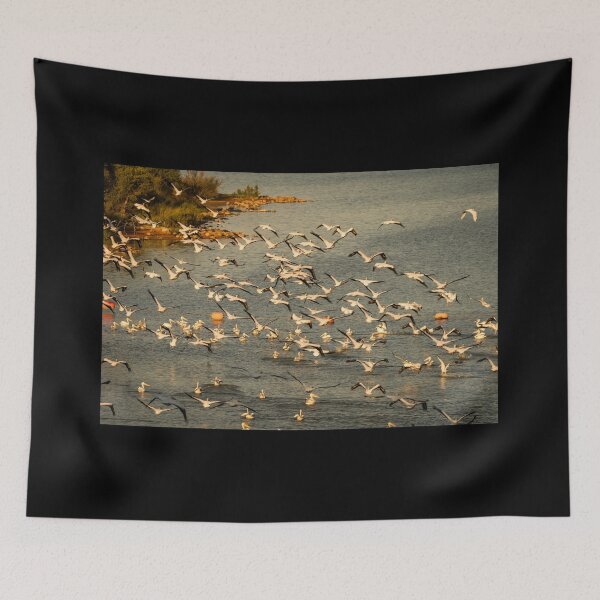 Item preview, American White Pelicans On The Move designed and sold by Debra Martz.