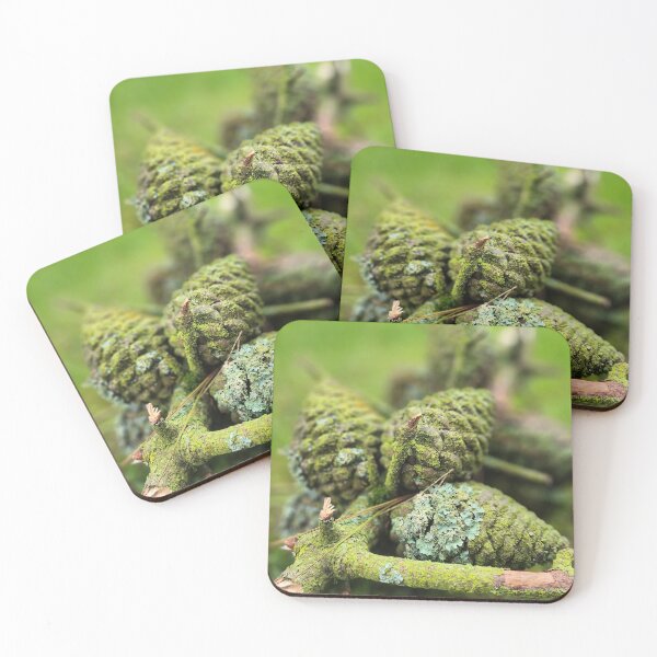 Item preview, Pine cones and Lichen designed and sold by kezbomb.