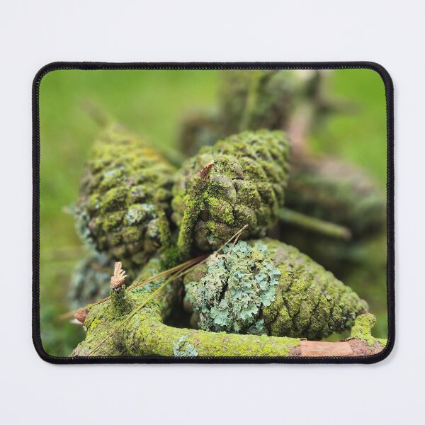 Item preview, Pine cones and Lichen designed and sold by kezbomb.