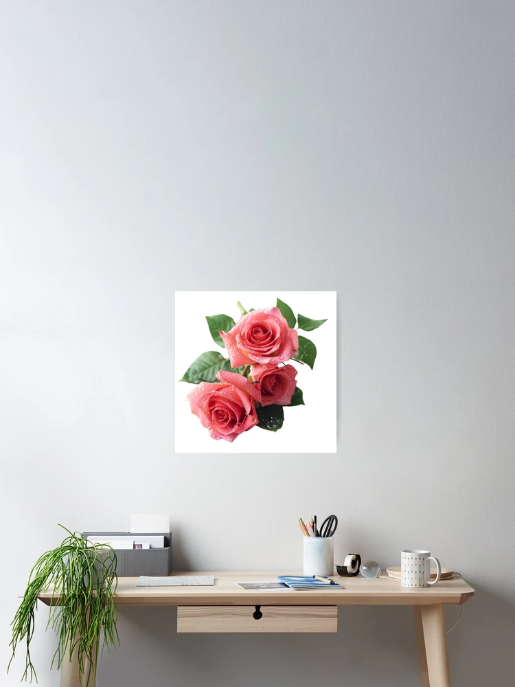 Thumbnail 2 of 3, Poster, Pink Roses 2/2 - Roses Collection designed and sold by Styled by Anne.