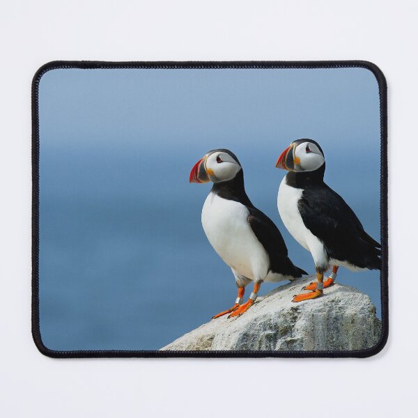 Item preview, Atlantic Puffins designed and sold by Zoozwear Apparel.
