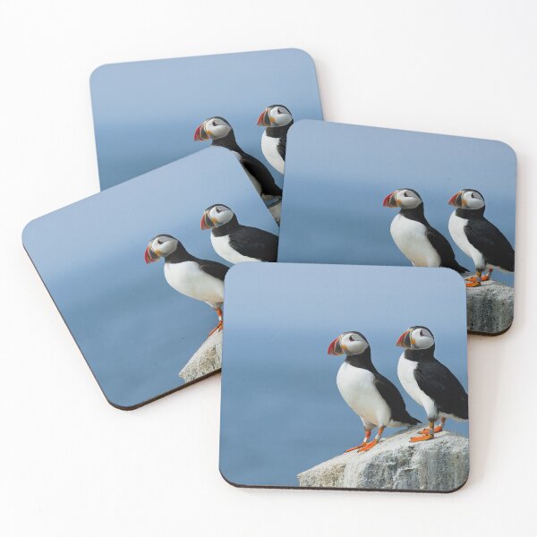 Item preview, Atlantic Puffins designed and sold by Zoozwear Apparel.