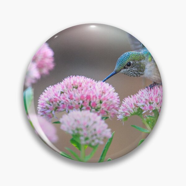 Item preview, Hummingbird designed and sold by Zoozwear Apparel.