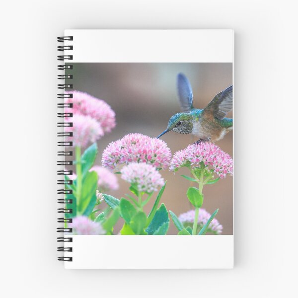 Item preview, Hummingbird designed and sold by Zoozwear Apparel.