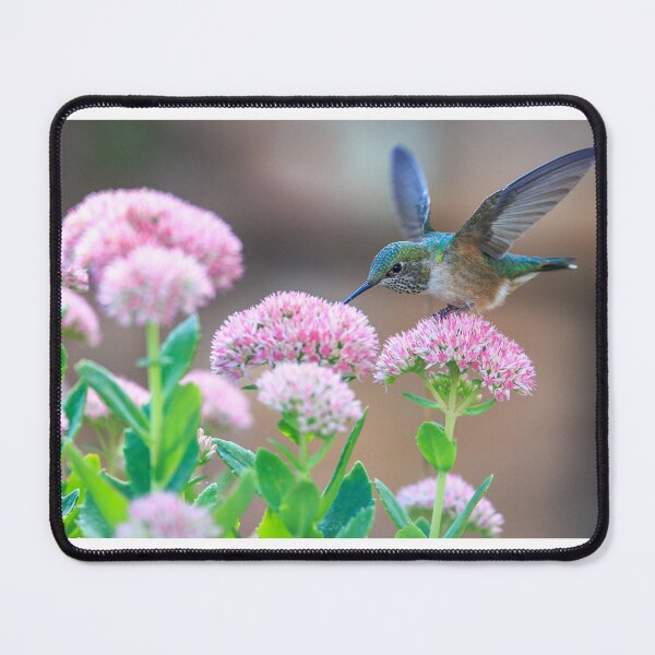 Item preview, Hummingbird designed and sold by Zoozwear Apparel.