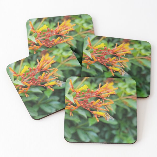 Item preview, The firebush and the bee designed and sold by Jmb67.