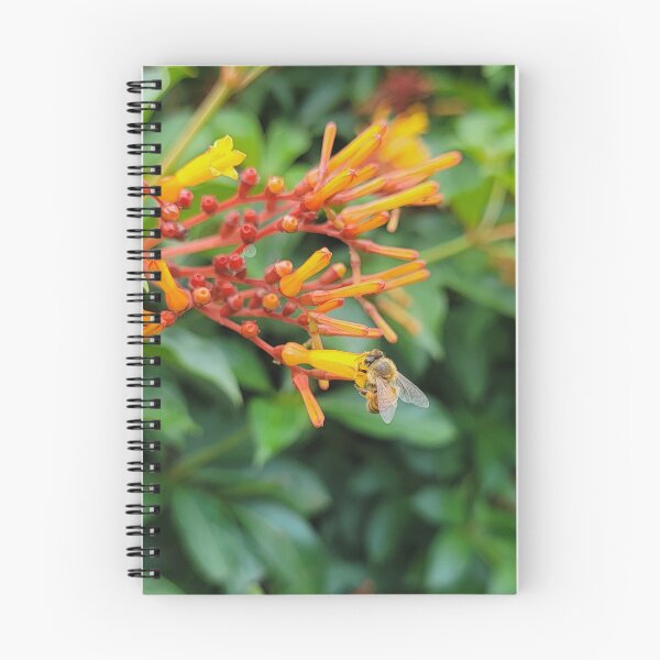 Item preview, The firebush and the bee designed and sold by Jmb67.