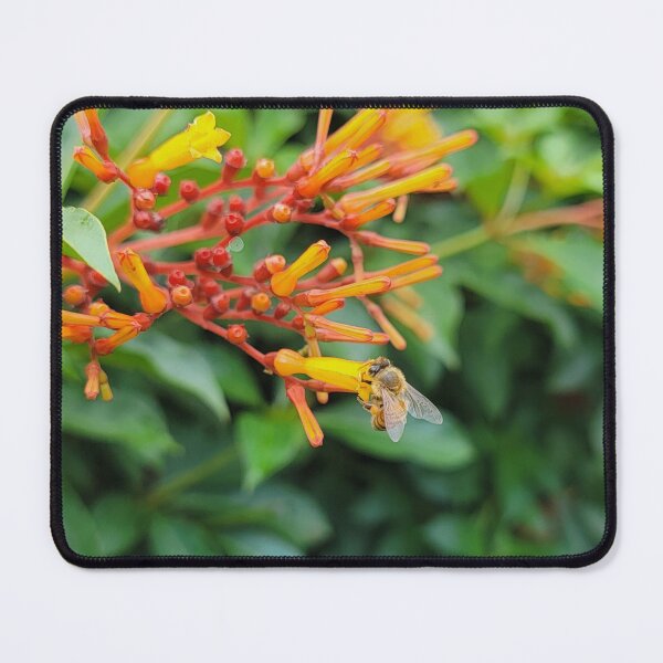 Item preview, The firebush and the bee designed and sold by Jmb67.