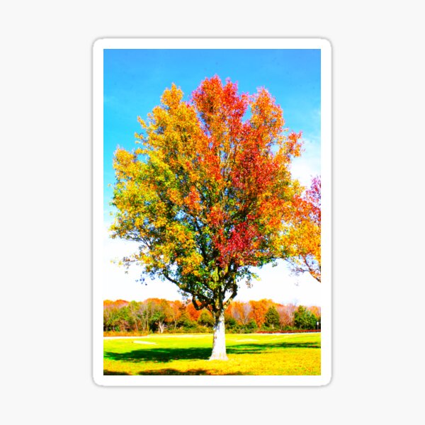 Item preview, Tree of Autumn With Double Fall Foliage Colors designed and sold by WHBPhotoArt.