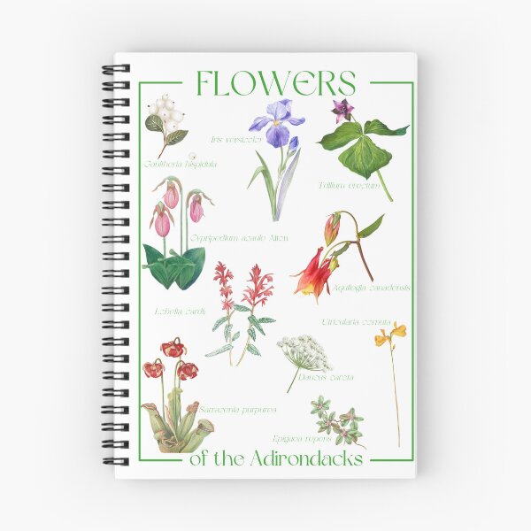 Item preview, Flowers of the Adirondacks - vintage watercolor poster style designed and sold by YonderAndBeyond.