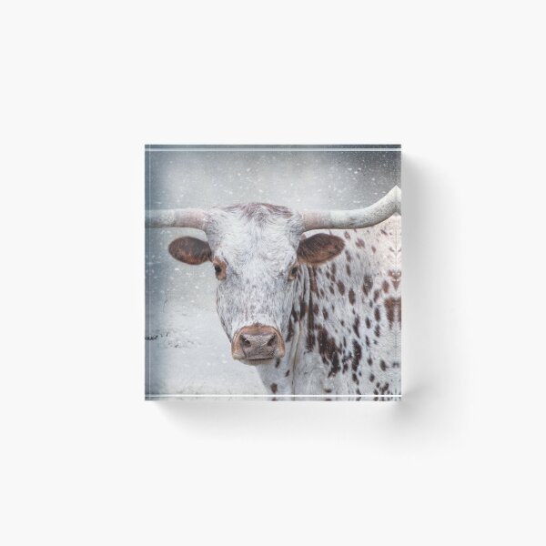 Item preview, Brown and White Longhorn in the Snow designed and sold by Elisabeth Lucas.