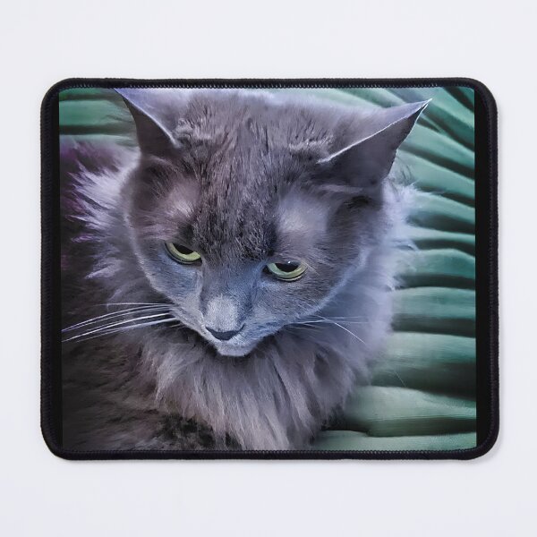 Item preview, Gray Green Eyed Cat designed and sold by PandLcreations.