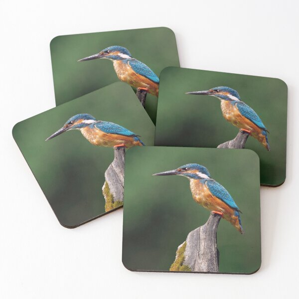 Item preview, Kingfisher designed and sold by Tom McPherson Photography.