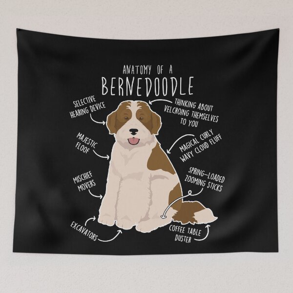 Item preview, Bernedoodle Parti Chocolate Bicolor Dog Anatomy designed and sold by Clara Hollins.