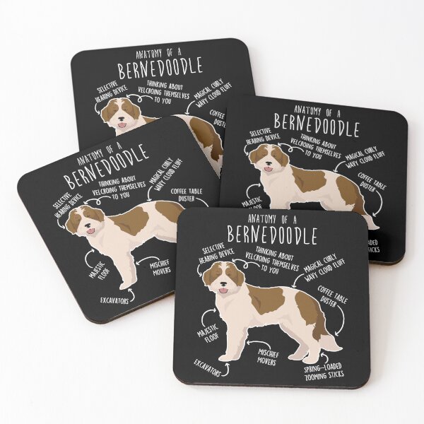 Item preview, Bernedoodle Parti Chocolate Bicolor Dog Anatomy designed and sold by Clara Hollins.