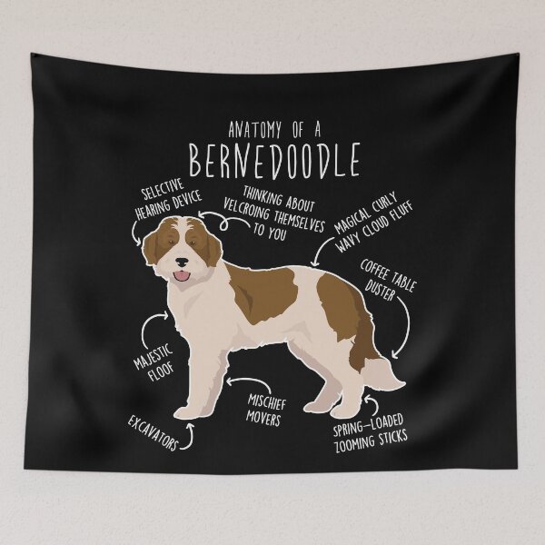 Item preview, Bernedoodle Parti Chocolate Bicolor Dog Anatomy designed and sold by Clara Hollins.