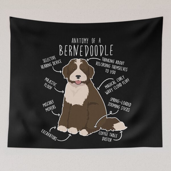 Item preview, Bernedoodle Chocolate Bicolor Dog Anatomy designed and sold by Clara Hollins.