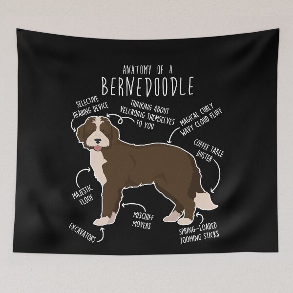 Item preview, Bernedoodle Chocolate Bicolor Dog Anatomy designed and sold by Clara Hollins.