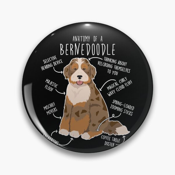Item preview, Chocolate Merle Bernedoodle Dog Anatomy designed and sold by Clara Hollins.