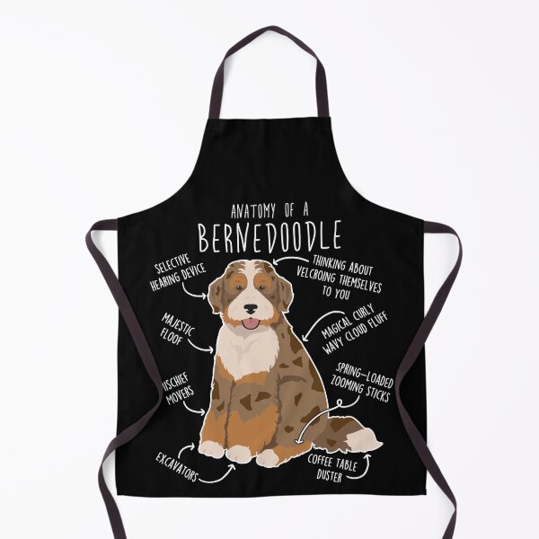 Aperçu de l'œuvre Anatomie du chien Bernedoodle Chocolat Merle créée et vendue par Clara Hollins.