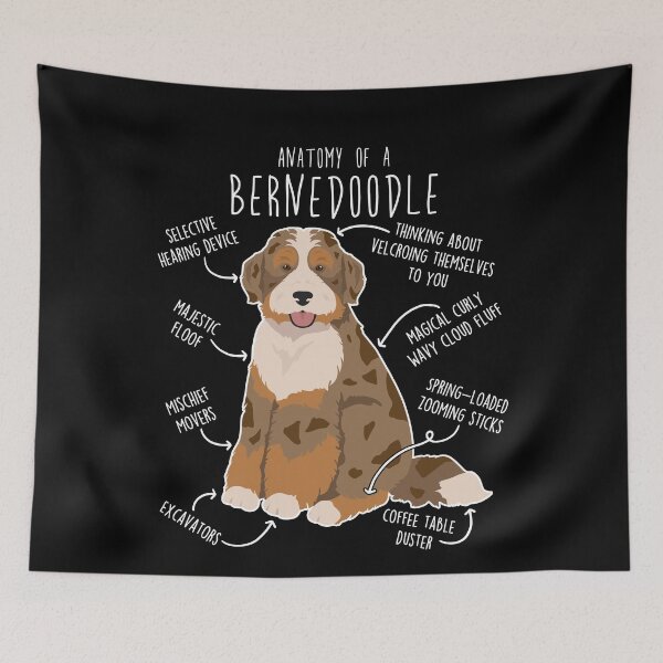 Item preview, Chocolate Merle Bernedoodle Dog Anatomy designed and sold by Clara Hollins.