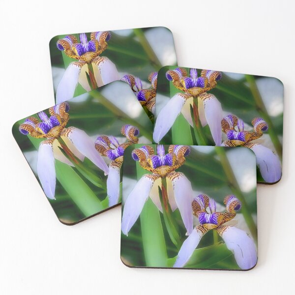 Item preview, Wild orchids designed and sold by Alla Gill.