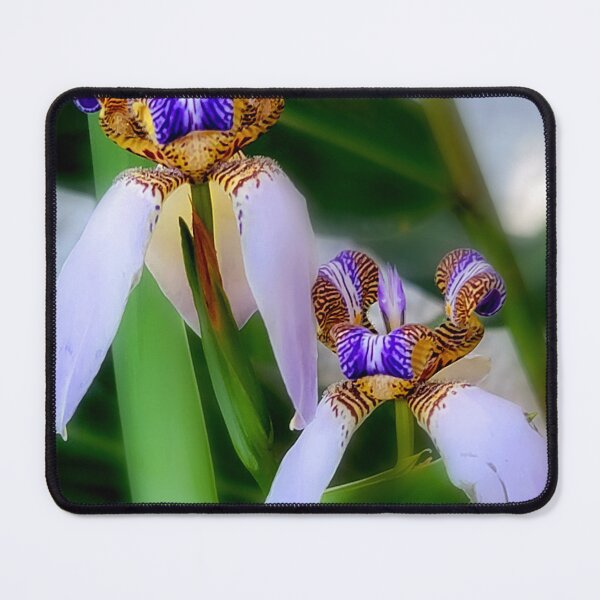 Item preview, Wild orchids designed and sold by Alla Gill.
