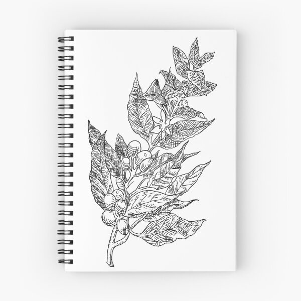 Item preview, Coffee Plant Linework Illustration designed and sold by TheResistanceGardener.