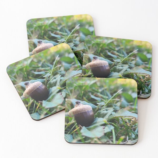 Item preview, Acorn Amidst the Late Summer Greenery designed and sold by EclecticallyKat.
