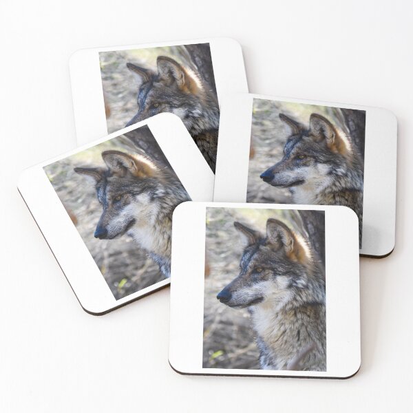 Item preview, Endangered Mexican wild Wolf Staring Fibe Art Print designed and sold by Yogibear & Rachelle .