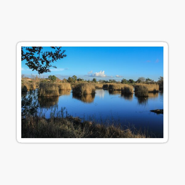 Item preview, Peaceful Pond, Madrona Marsh Preserve designed and sold by Scenic West - Photos by Angel.