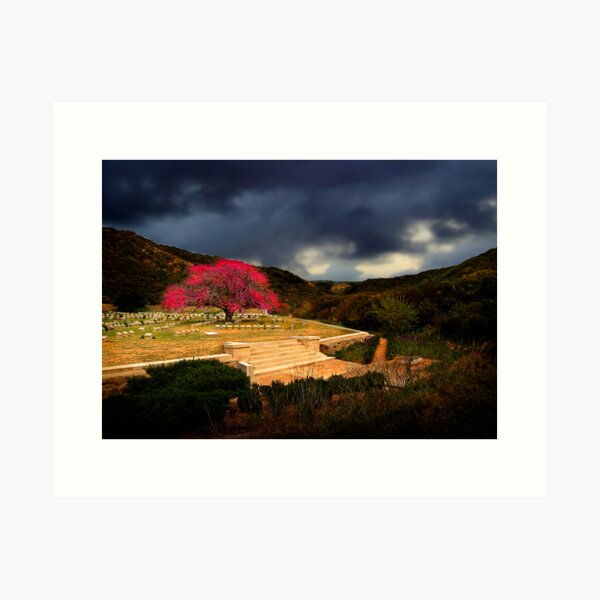 Item preview, Shrapnel Valley - Gallipoli designed and sold by Peter Evans.
