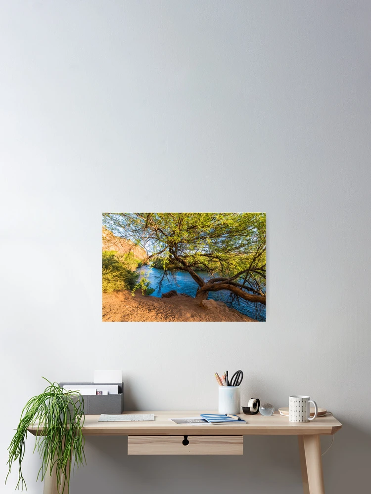 Thumbnail 2 of 3, Poster, Spring Morning designed and sold by BGSPhoto.