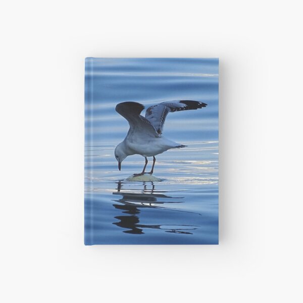 Seagull Hardcover Journal